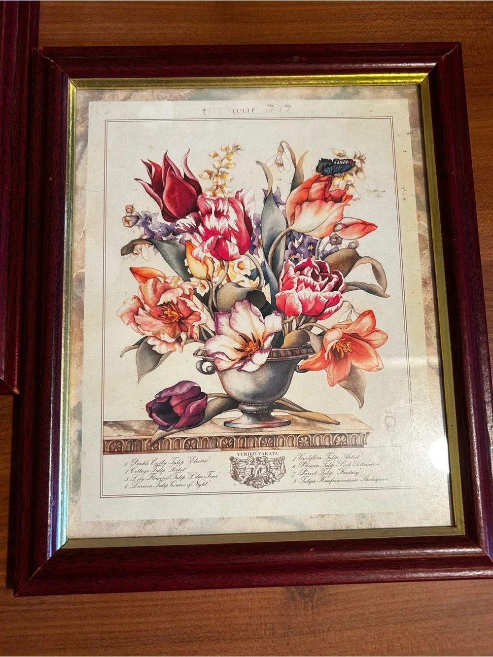 Floral Still Life Wall Art Prints in Burgundy Frame - Set of 2